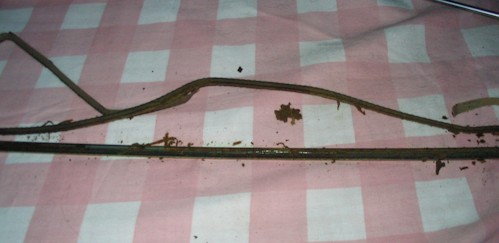 old sponge bar